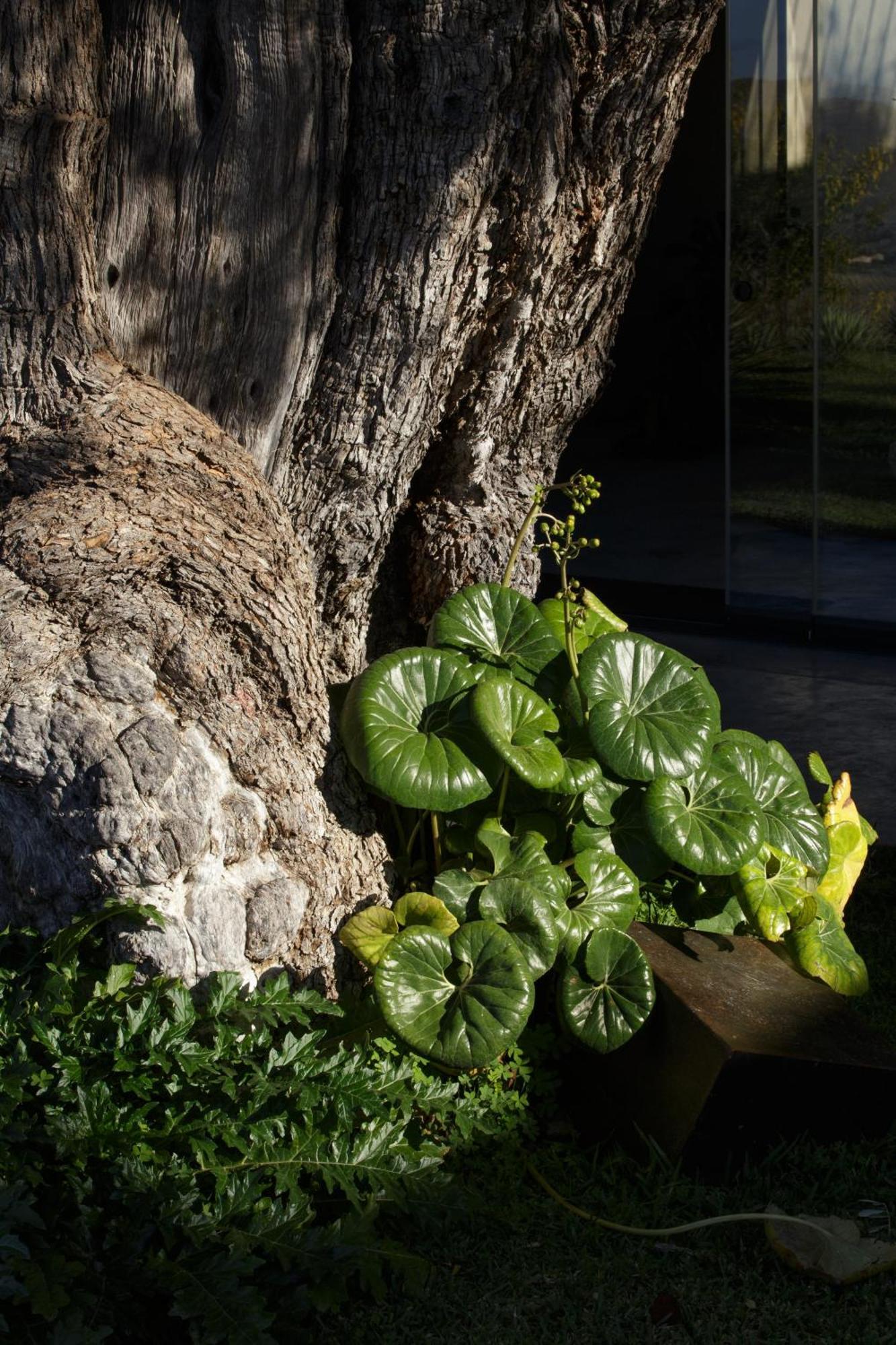 Buahjar Boutique Home Apartment Agrigento Exterior photo